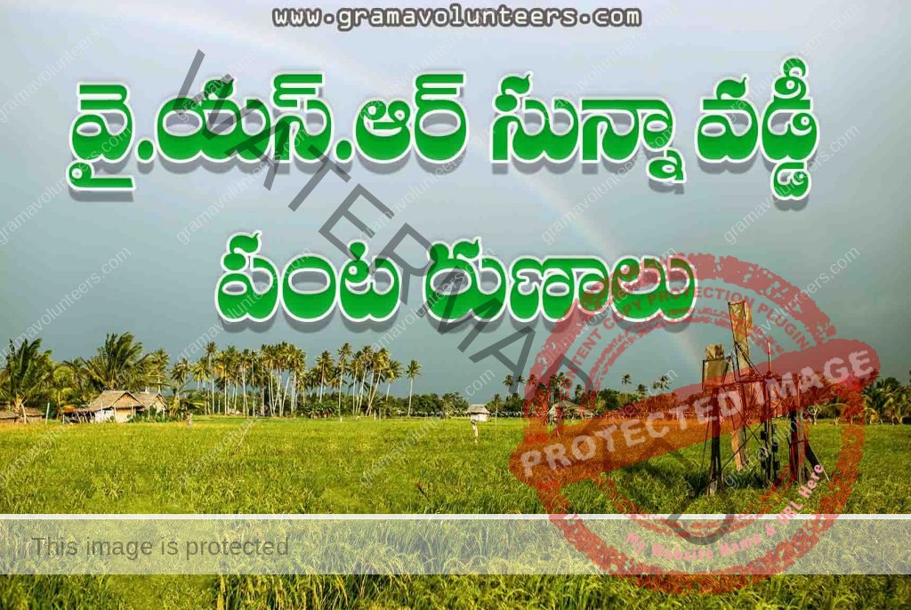 ysr-sunna-vaddi-crop-loans